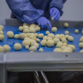Producing a quality product is the key to successful potato business