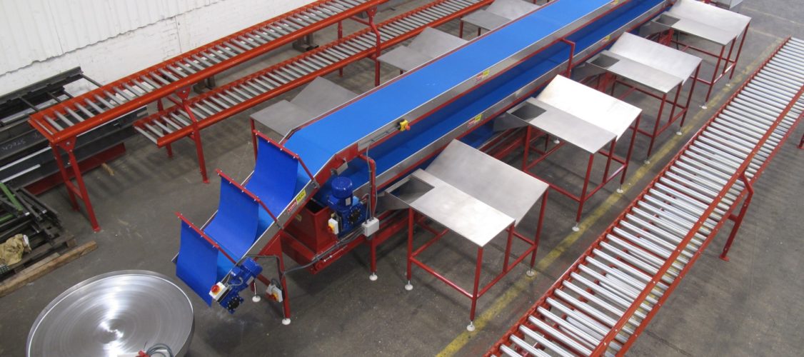 Vegetable Conveyors | Conveying Equipment | Tong Engineering US