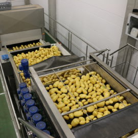 Potato Machinery