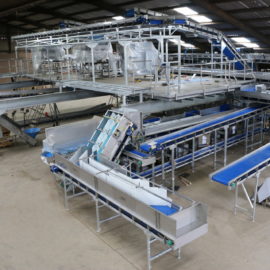 New Carrot Handling Facility at Poskitts set to be the UK’s most advanced