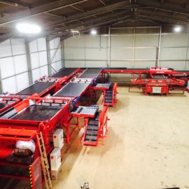 New Tong potato sizing line increases Output for Cornwall grower